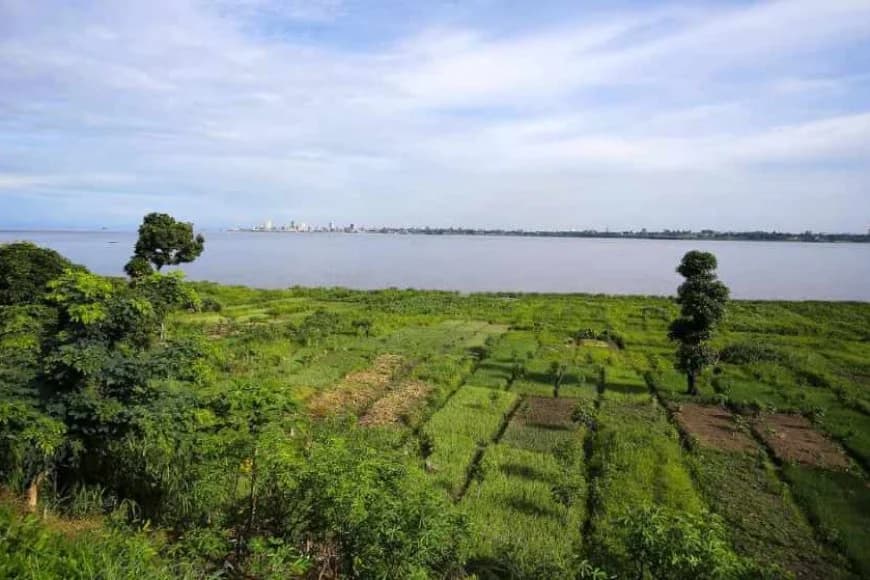 Rwanda's investors are ready to utilize 92,000 hectares of land in Congo Brazzaville