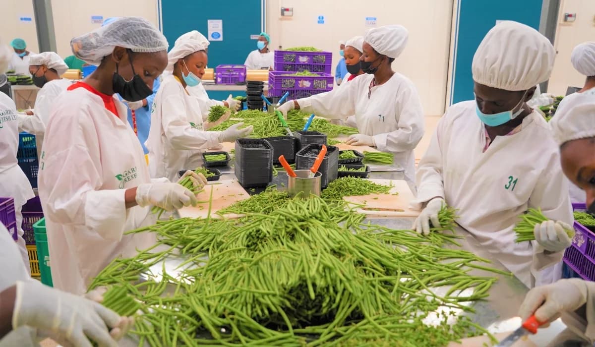 Rwanda earns $3.5 billion from exportation