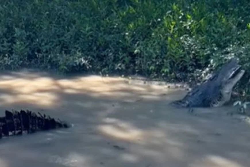 Australia: Icyanya cy'Ubukerarugendo cyo muri Pariki ya  Litchfield cyafunzwe kubera ingona