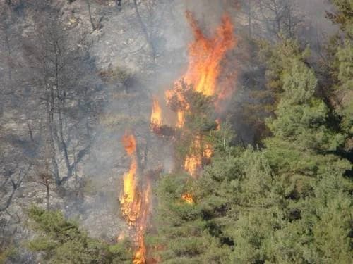 Rwandans argued to prevent forest fires during dry season