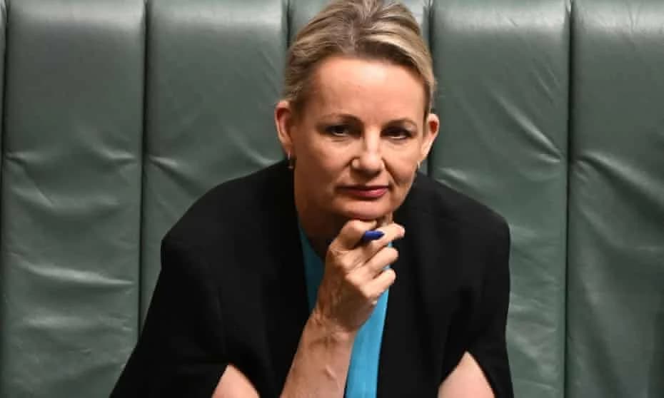 Sussan Ley Criticizes Prime Minister Albanese for Politicizing Olympians' Success