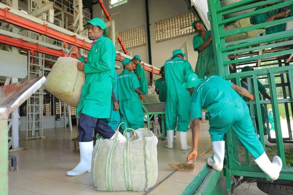 Rwanda's Economy grows by 9.8% in Second Quarter of 2024