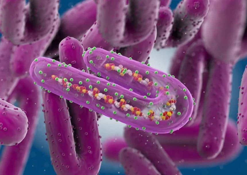 Five People Recover from Marburg Virus Disease