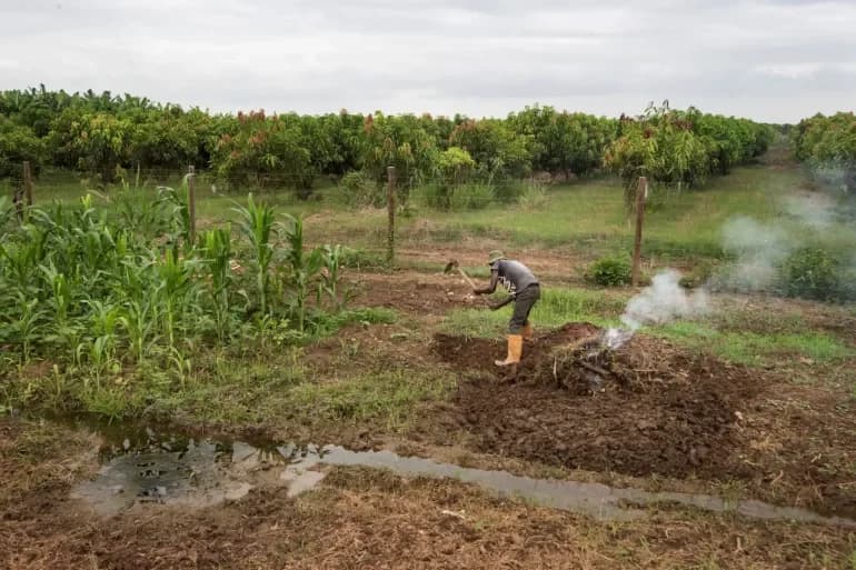 Angola’s Sustainable Future: Unlocking the Potential of Sun and Soil