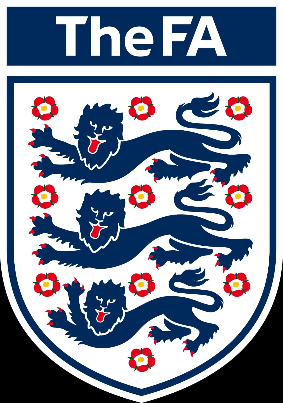 Transgender women banned from Women’s Football in England