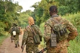 DRC: Ugandan Army captures big ADF camp holding over 1,500 people
