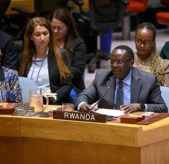 “Do you lack evidence even within your own reports that the Kinshasa government backs FDLR?” Amb. Ngoga asks UN Security Council