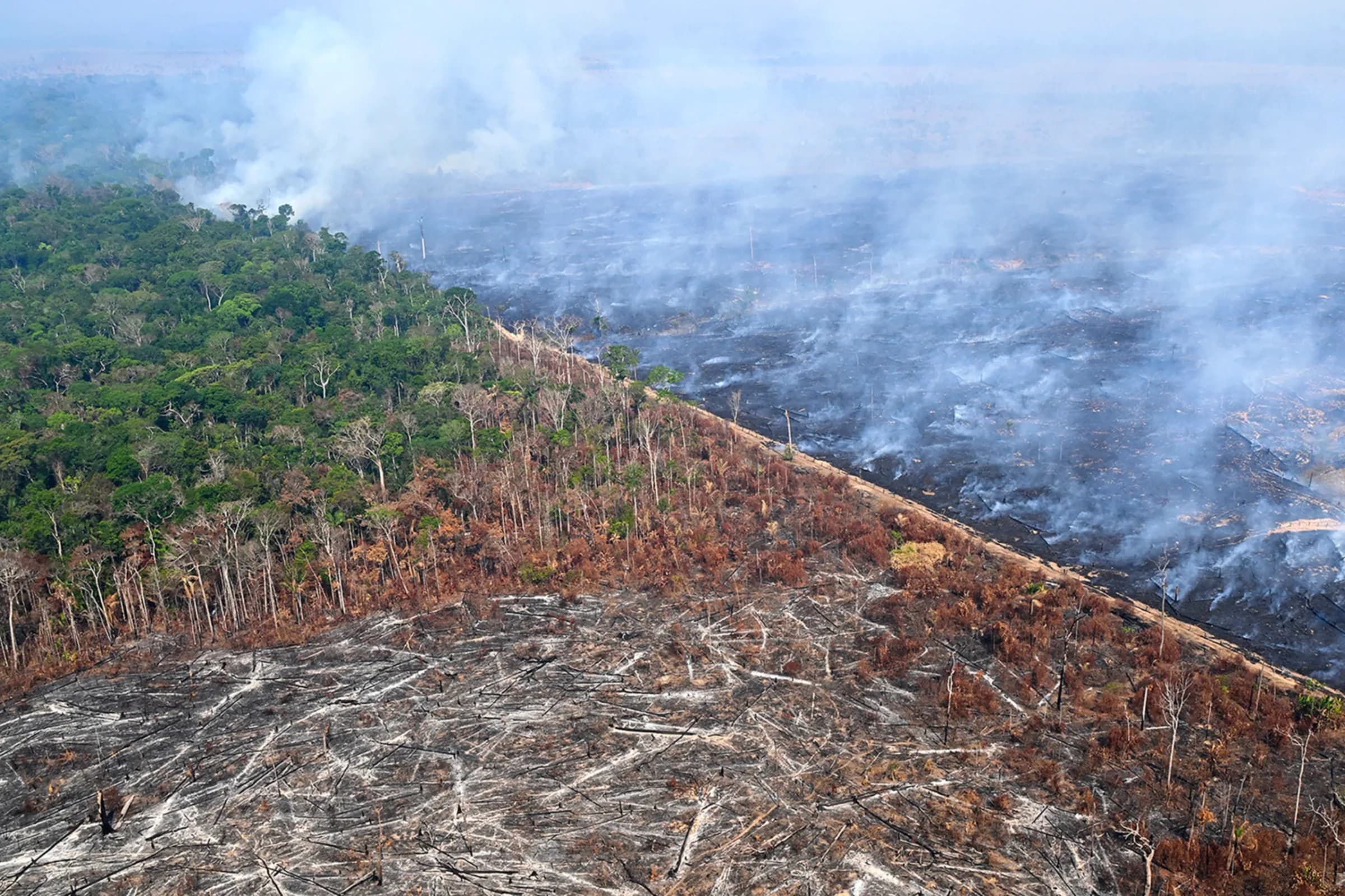 Investigative Stories Making Waves: From the Amazon Rainforest to African Farmlands
