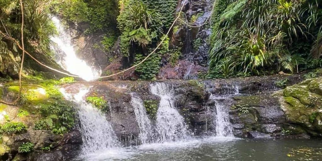 Best things to do in Canungra - Queensland Travel Guide
