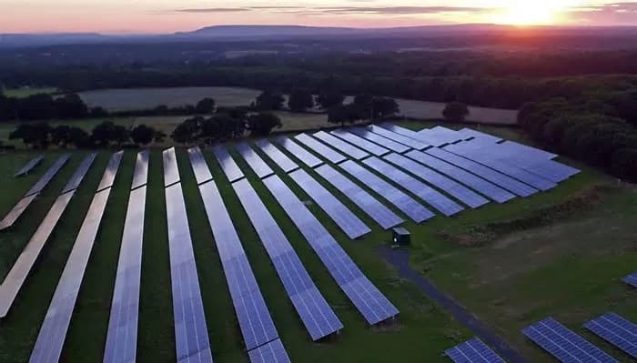 Renewable energy surpasses coal as the world’s leading source of electricity for the first time