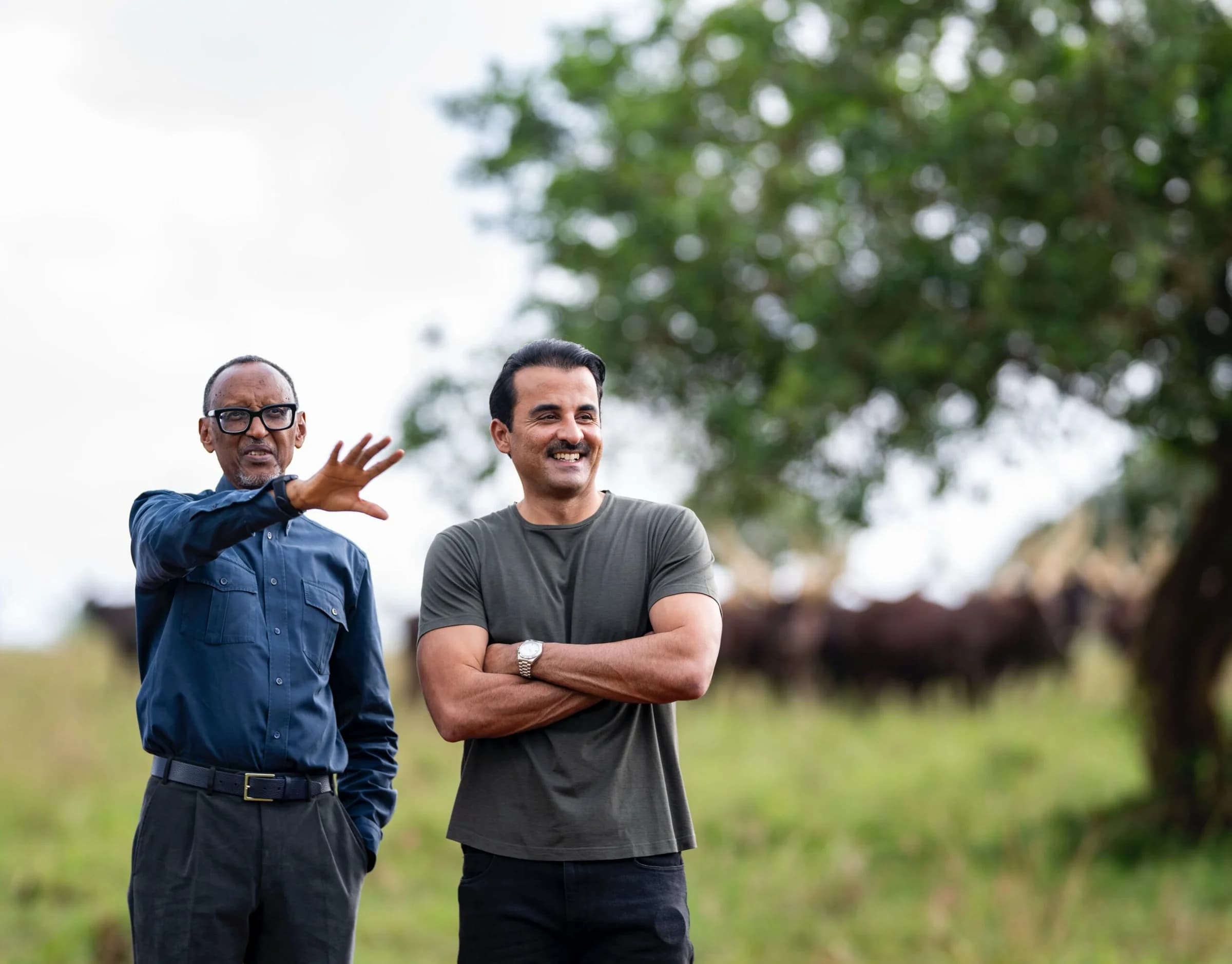 President Kagame gifts visiting Qatari Emir with cows