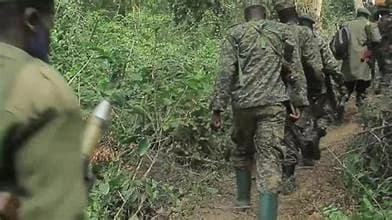 Congolese soldiers killed in clashes with Ugandan troops