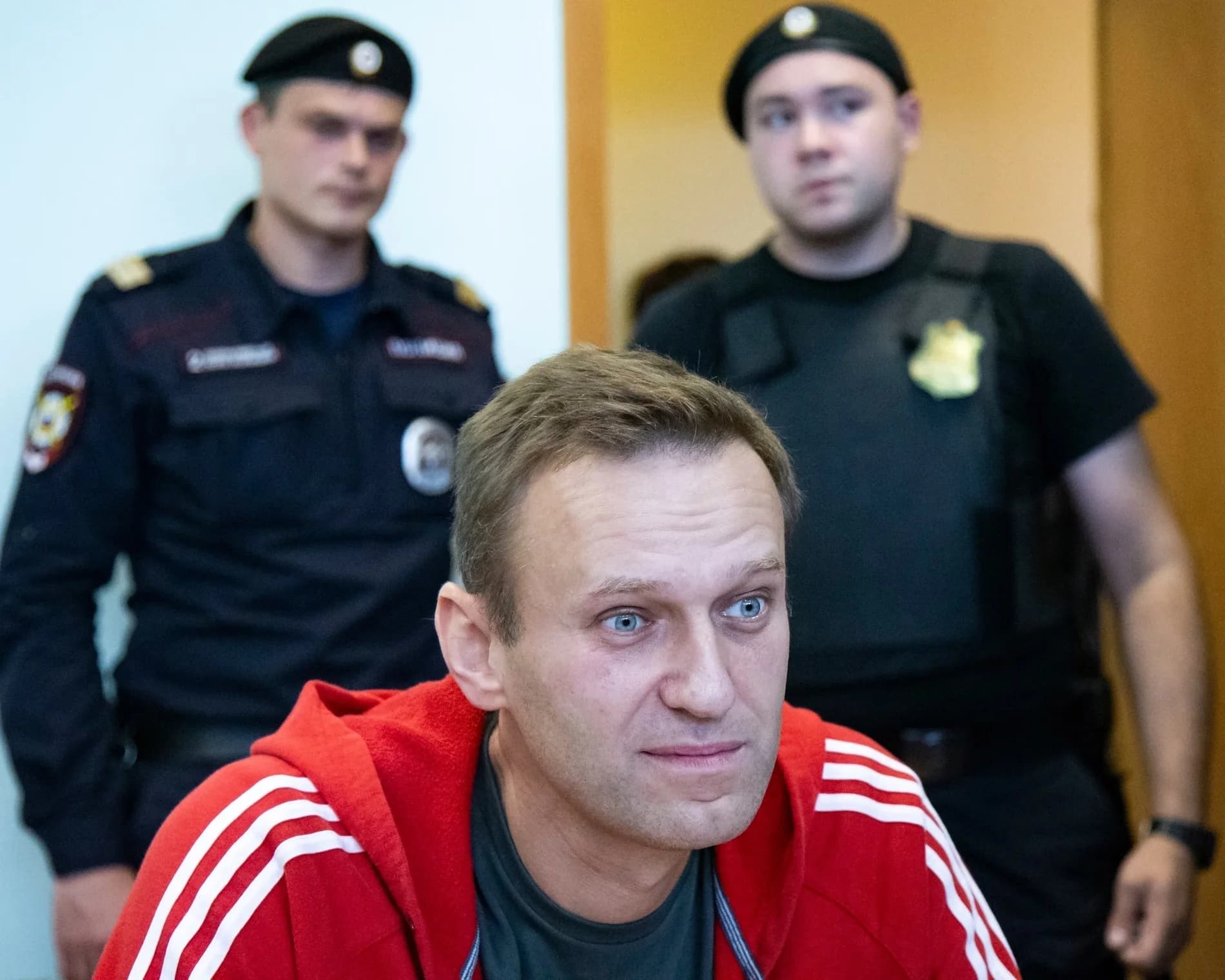 Five European nations accuse Russia of killing Navalny with rare poison dart frog toxin