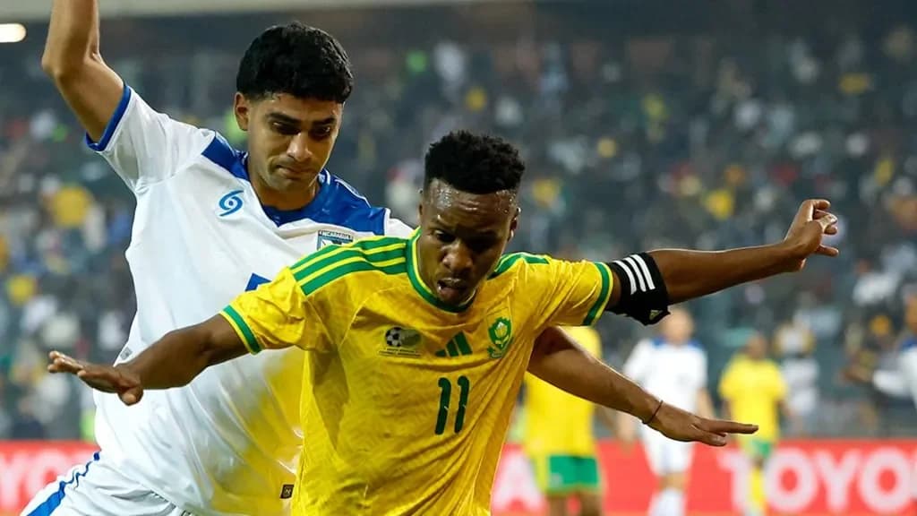 South Africa Faces Visa Embarrassment Ahead of World Cup as Minister Demands Action