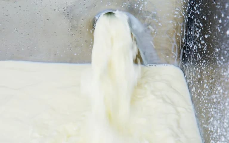 World Milk Day 2026: Rwanda’s Milk consumption growth reflects strong dairy development