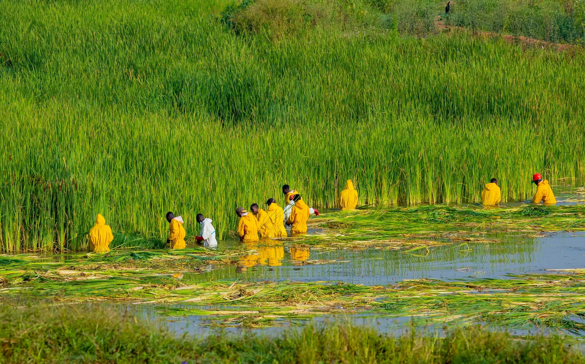20 Years of Environmental Protection: How REMA Has Helped Shape a Greener Rwanda