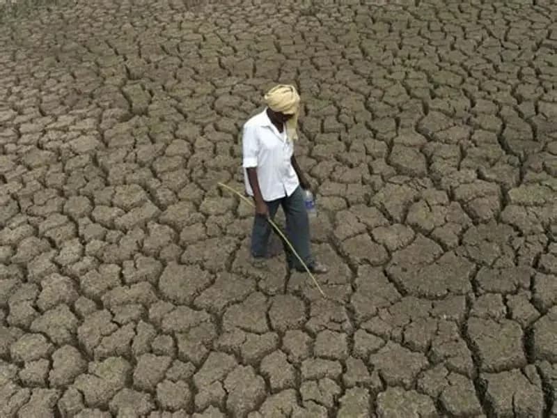 Sudan’s Farmers Face Deepening Crisis as El Niño Dries Up the Nile