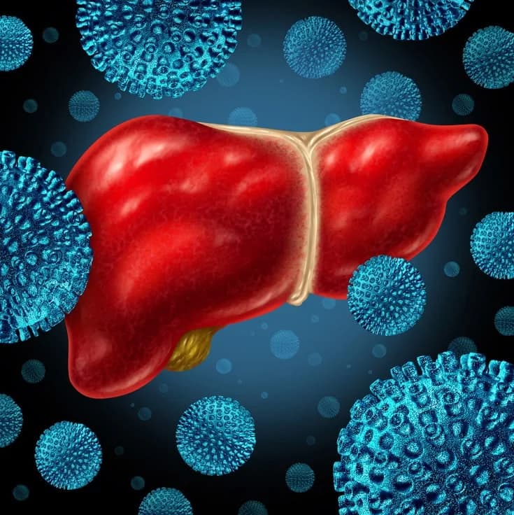 Liver Disease: What You Need to Know About a Condition That Can Become Life-Threatening