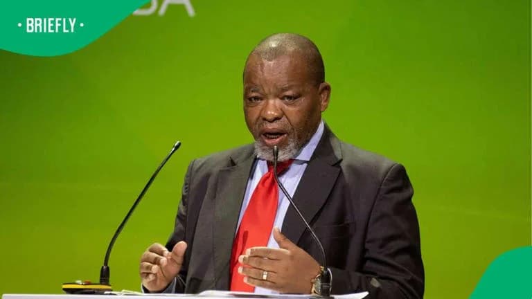 Mantashe said the government was in talks with suppliers. Image: RODGER BOSCH/AFP via Getty Images Source: Getty Images